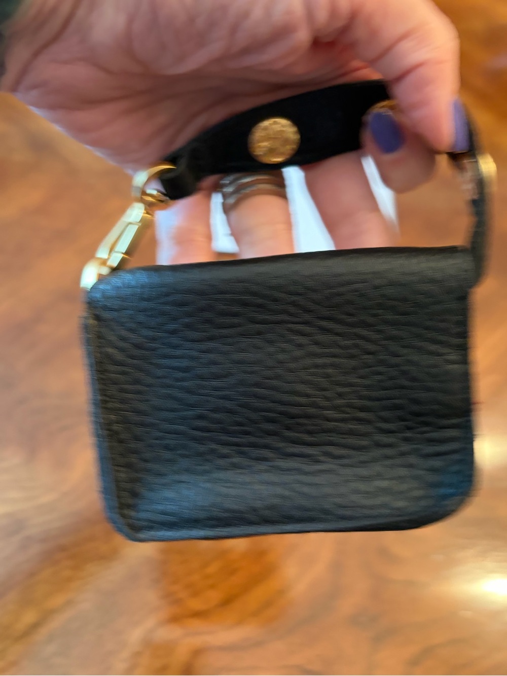 NWT Hammitt “Monet” w/ Extra Strap and Mini Bag - Picture 9 of 14